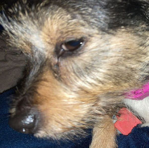 Meet your Posher, Vianney